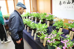 anderusenkouen 020.jpg